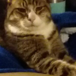 Meet your Posher, Amanda